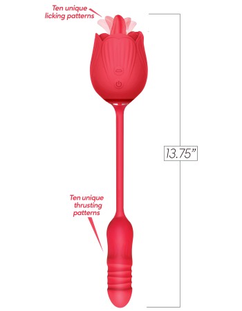 Wild Rose Tonguing Thrusting - Red