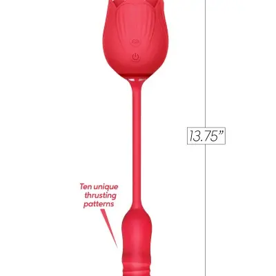 Wild Rose Tonguing Thrusting - Red