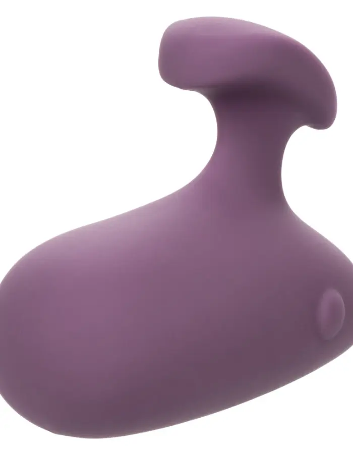 Mod Touch - Purple