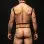 Envy 3 Pc Wet Look Chest Harness - Large/xlarge - Black