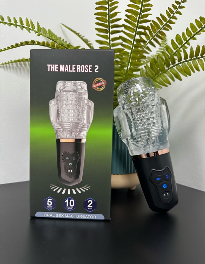 The Male Rose 2