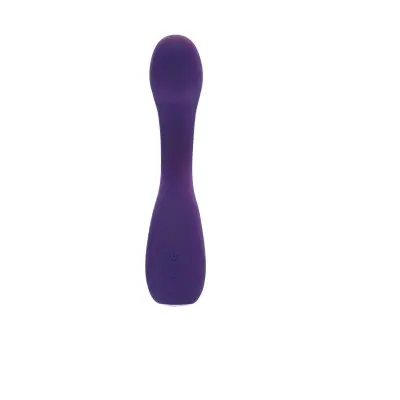 Desire Rechargeable G-Spot Vibe - Purple