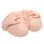 Stroke Off Vibrating Spread Wide - Light