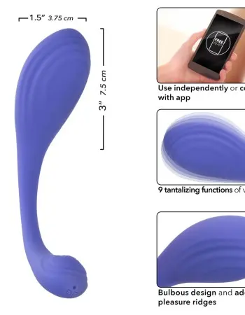 Calexotics Connect Kegel Exerciser - Periwinkle