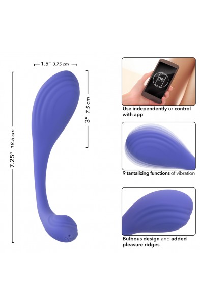 Calexotics Connect Kegel Exerciser - Periwinkle