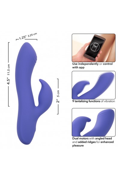 Calexotics Connect Dual Stimulator - Periwinkle