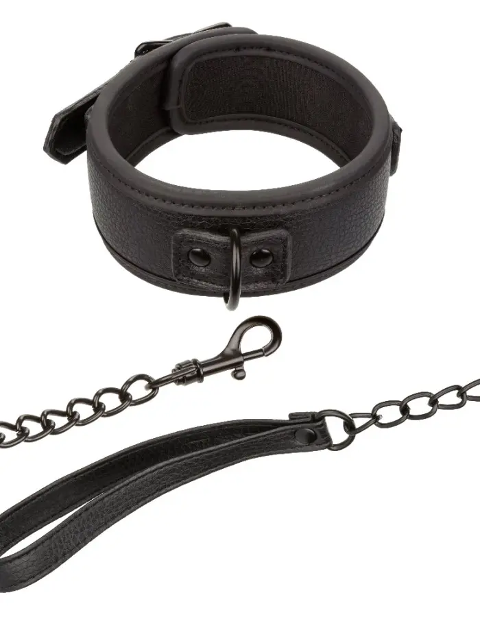 Nocturnal Collection Collar and Leash - Black
