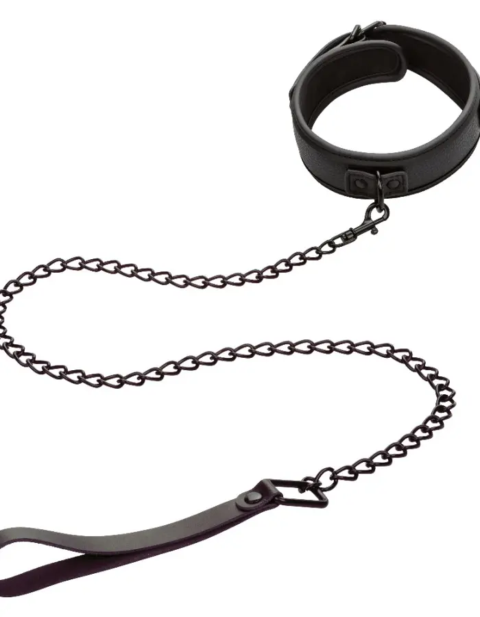 Nocturnal Collection Collar and Leash - Black