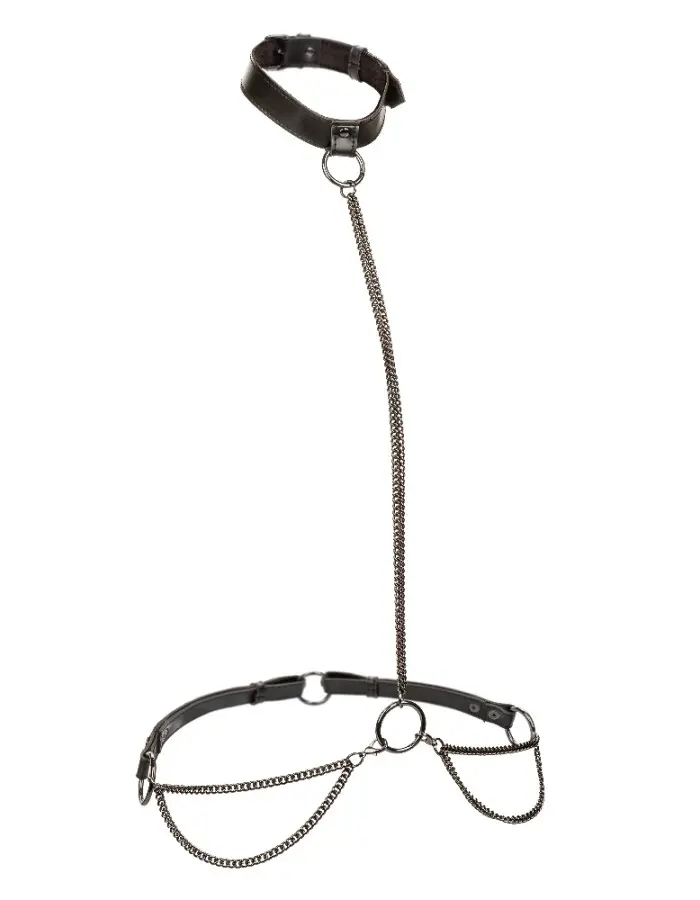 Euphoria Collection Chain Halter/collar and Leash - Black