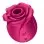 Pro 2 Classic Blossom - Plum