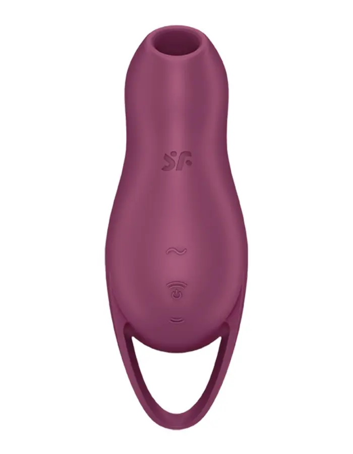 Pocket Pro 1 - Berry