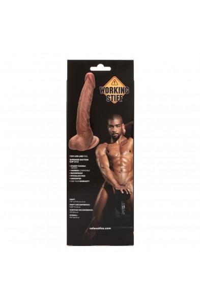 Working Stiff the Personal Trainer 7.5" - Brown