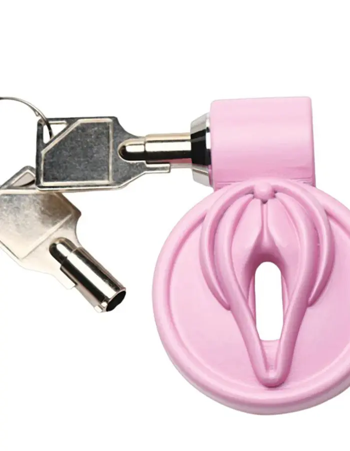 Pussification Vulva Chastity Cage - Pink
