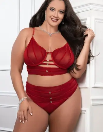 Cinnamon Red 2pc Satin Bra and High Waist Panty - Queen Size
