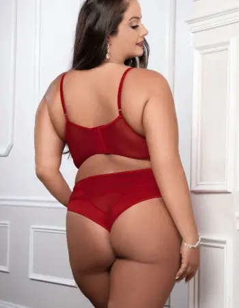 Cinnamon Red 2pc Satin Bra and High Waist Panty - Queen Size