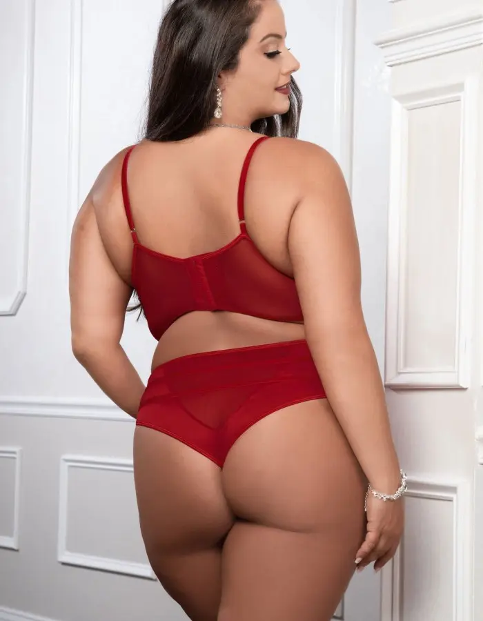 Cinnamon Red 2pc Satin Bra and High Waist Panty - Queen Size