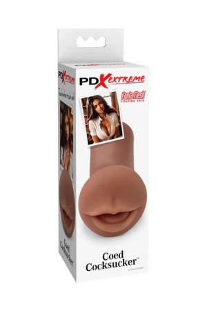 Pdx Extreme Coed Cocksucker - Brown