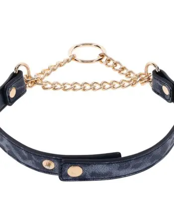 Cougar Day Collar