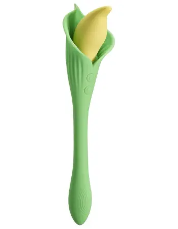 Spathe Lily Vibe Green