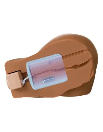 Back That Ass Up Auto Mega Masturbator - Brown