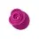 Blush Collection the Original Blush Rose - Velvet