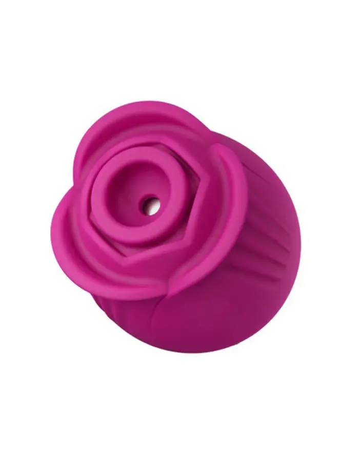 Blush Collection the Original Blush Rose - Velvet