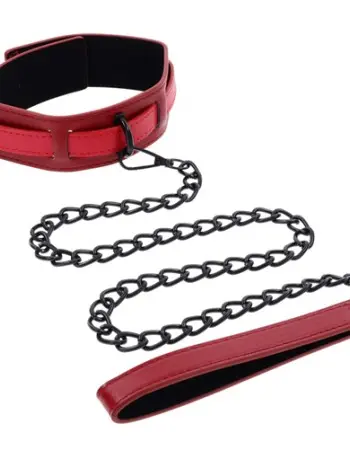 eX's and Oh's Collar and Leash