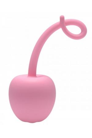 Pig Tail Silicone Anal Plug