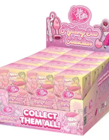 Mystery Box 12 Pc. Display - Natalies Toy Box Edition