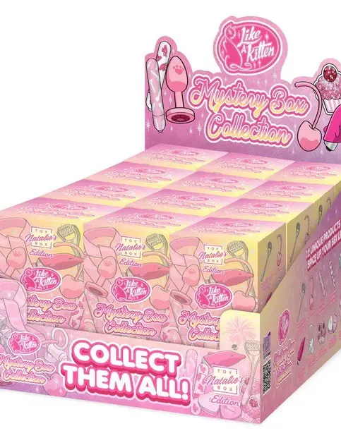 Mystery Box 12 Pc. Display - Natalies Toy Box Edition