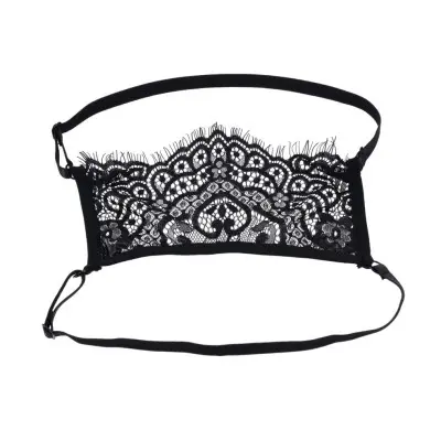 Veiled Vision Lace Blindfold