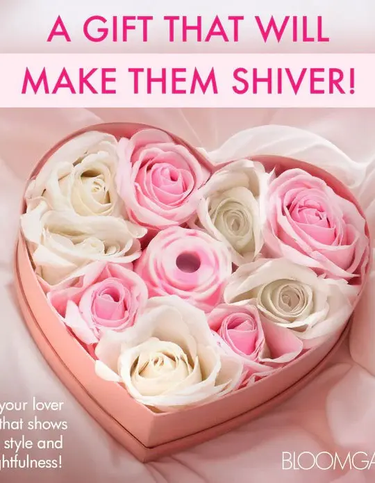 Bl the Rose Lovers Gift Box - Pink Swirl