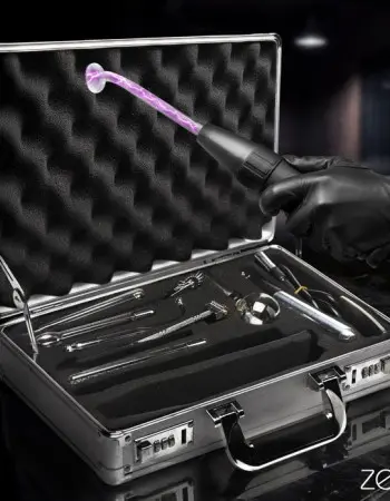 Zs Ultimate Edition Violet Wand Set