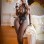 Doll Kiara Powered Chocolate 5ft 3"-Enhanced
