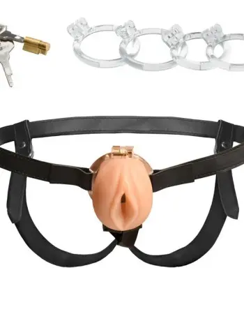Pussy Chastity Cage - Light