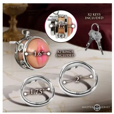 Pussy Boy Metal Chastity Cage - Silver