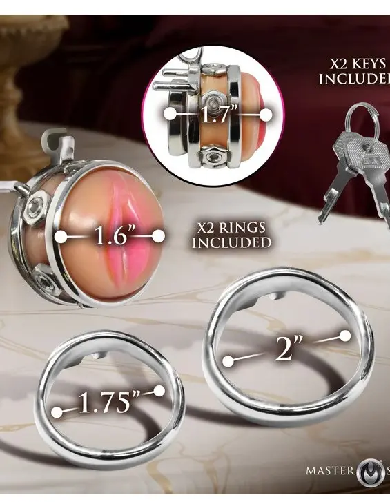Pussy Boy Metal Chastity Cage - Silver