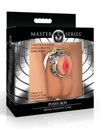 Pussy Boy Metal Chastity Cage - Silver