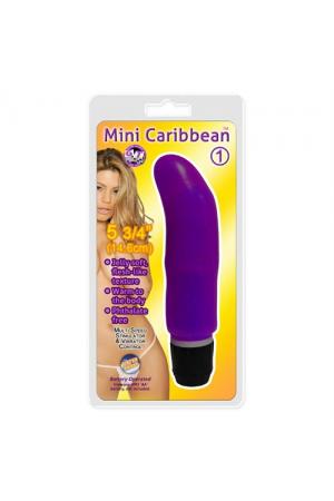 Mini Caribbean - 1 G-Spot - Purple