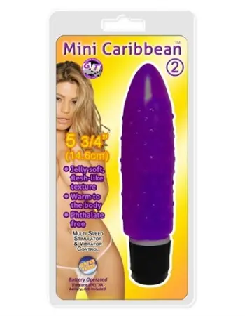 Mini Caribbean - 2 Bumpy - Purple