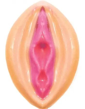 Pussy Bites