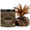 Honey Dust Body Powder -  Chocolate Caress 8 Oz