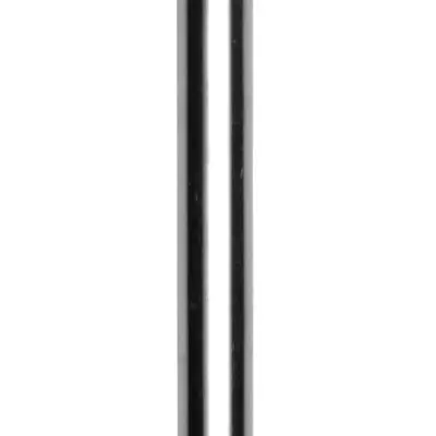 Lancia Stainless Steel Shaft Urethra Sound