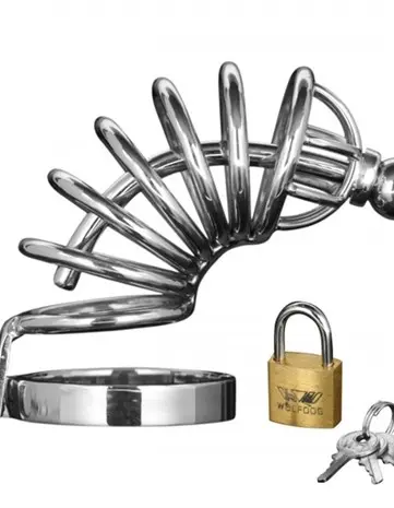 Asylum 6 Ring Locking Chastity Cage  - Medium/large