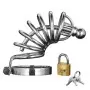 Asylum 4 Ring Locking Chastity Cage - Small/medium