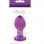 Crystal Premium Glass Plug - Medium - Clear Purple