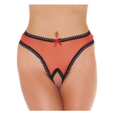 Love Me - Mesh Open Crotch Thong Panty