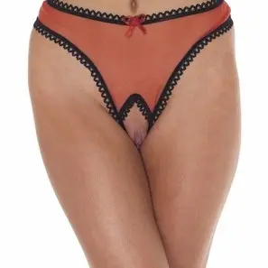 Love Me - Mesh Open Crotch Thong Panty