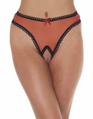 Love Me - Mesh Open Crotch Thong Panty